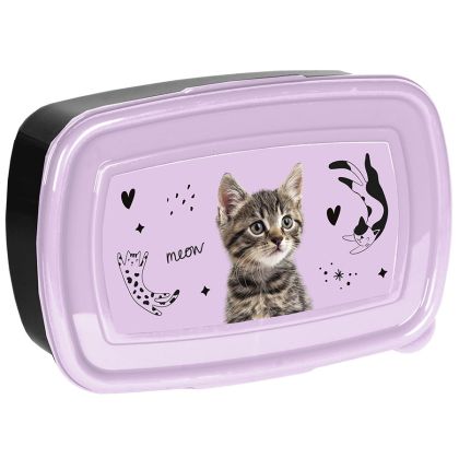 PASO CAT кутия за храна