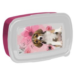 PASO DOG кутия за храна